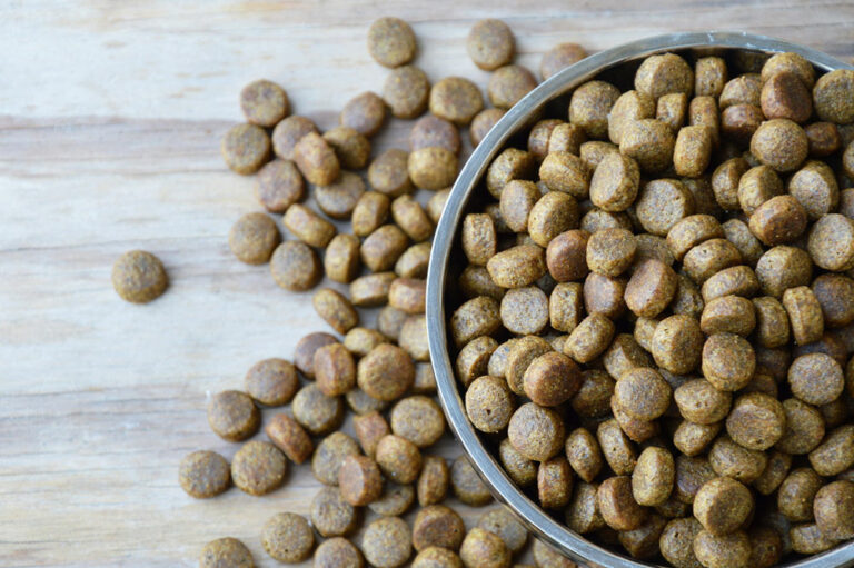 Top 11 Dog Food Deals to Consider on Black Friday 2023